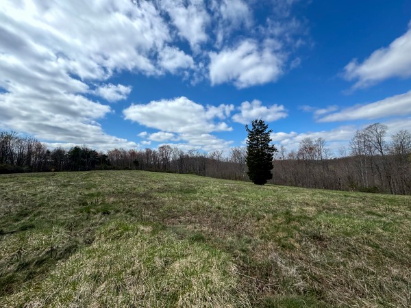 Tract 9 at Skyline Acres property photo
