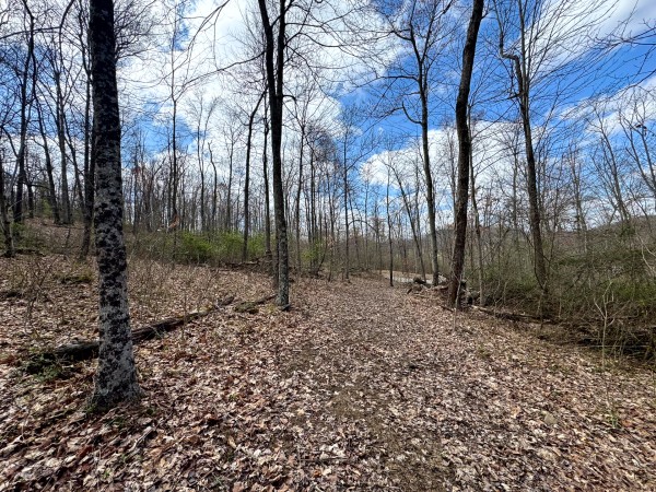 Tract 9 at Skyline Acres property photo