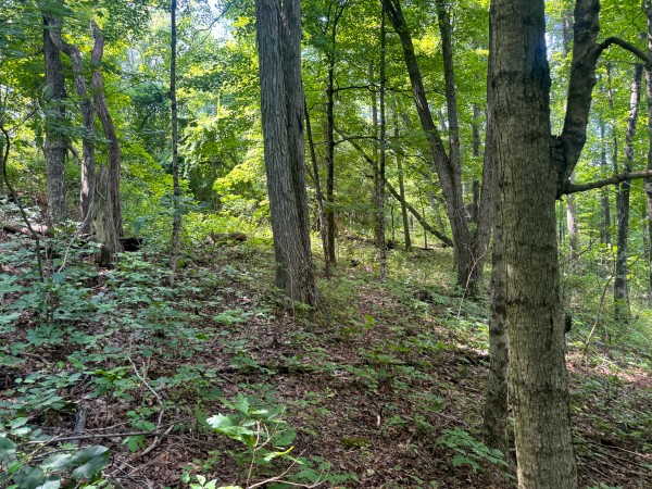 Tract 9 at Skyline Acres property photo