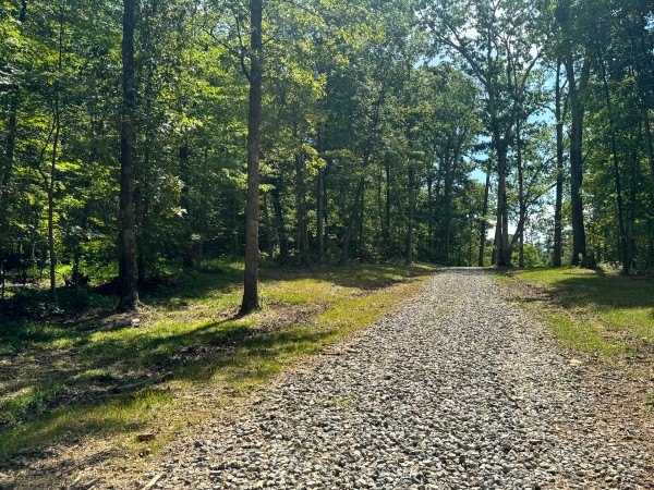 More of Tract 9 at Skyline Acres