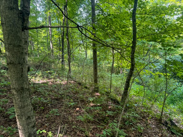 Tract 9 at Skyline Acres property photo