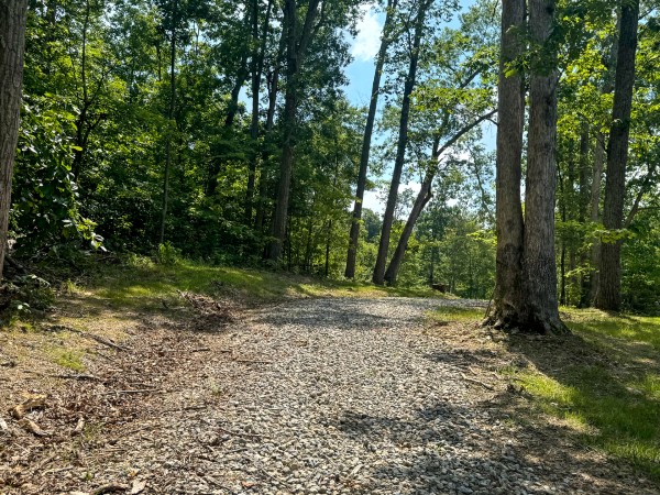 More of Tract 9 at Skyline Acres