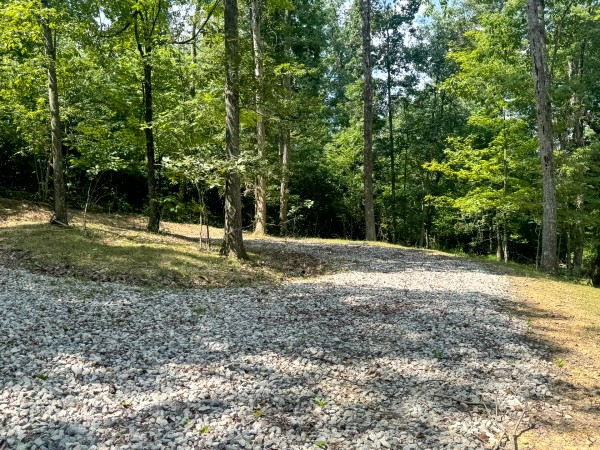 More of Tract 9 at Skyline Acres