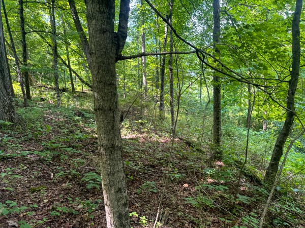 More of Tract 9 at Skyline Acres