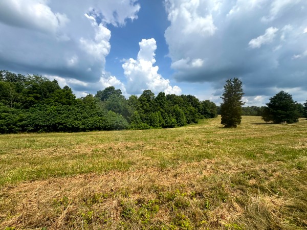 Tract 9 at Skyline Acres property photo
