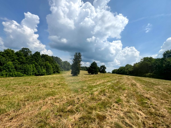 Tract 9 at Skyline Acres property photo