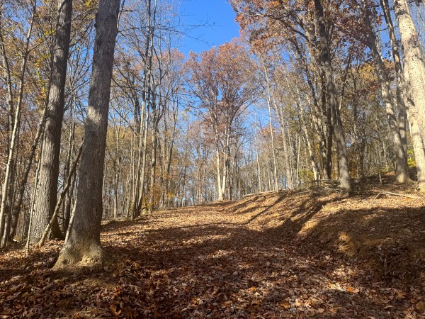 The Ponds at Poplar Ridge – Tract 1 property photo
