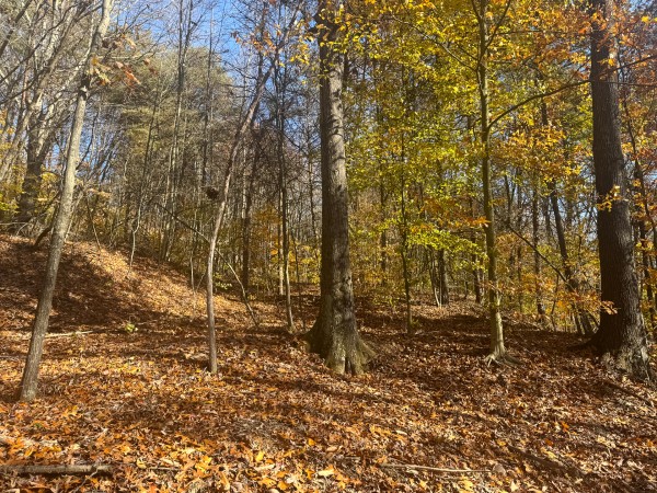 The Ponds at Poplar Ridge – Tract 1 property photo