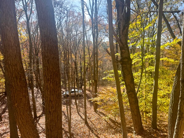 The Ponds at Poplar Ridge – Tract 1 property photo
