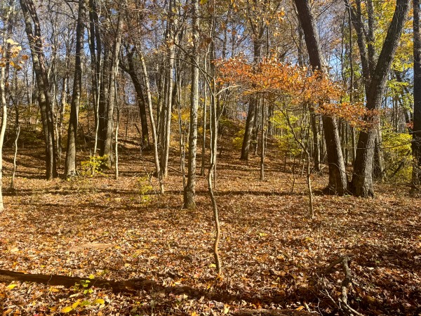 The Ponds at Poplar Ridge – Tract 1 property photo