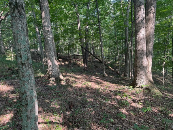 The Ponds at Poplar Ridge – Tract 1 property photo