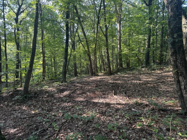 The Ponds at Poplar Ridge – Tract 1 property photo