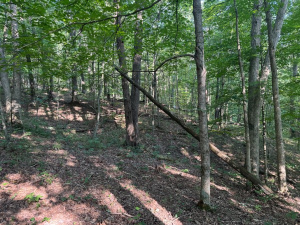The Ponds at Poplar Ridge – Tract 1 property photo