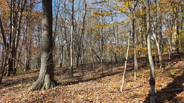 The Ponds at Poplar Ridge – Tract 1 property photo