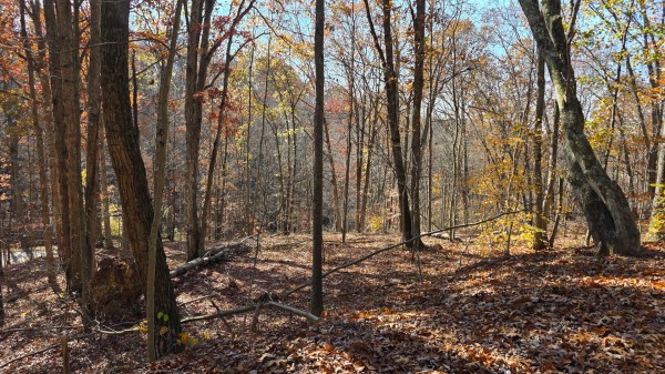 The Ponds at Poplar Ridge – Tract 1 property photo