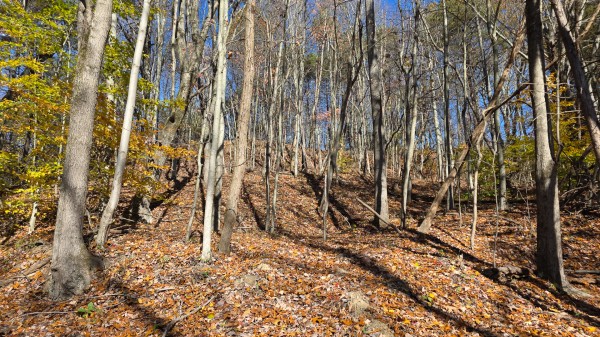 The Ponds at Poplar Ridge – Tract 1 property photo