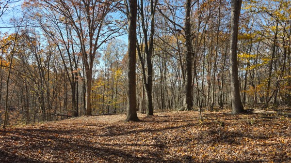 The Ponds at Poplar Ridge – Tract 1 property photo