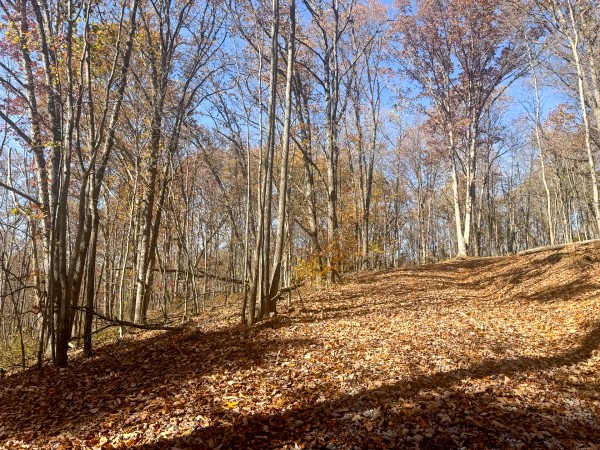 The Ponds at Poplar Ridge – Tract 1 property photo