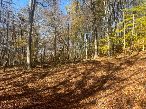 The Ponds at Poplar Ridge – Tract 1 property photo
