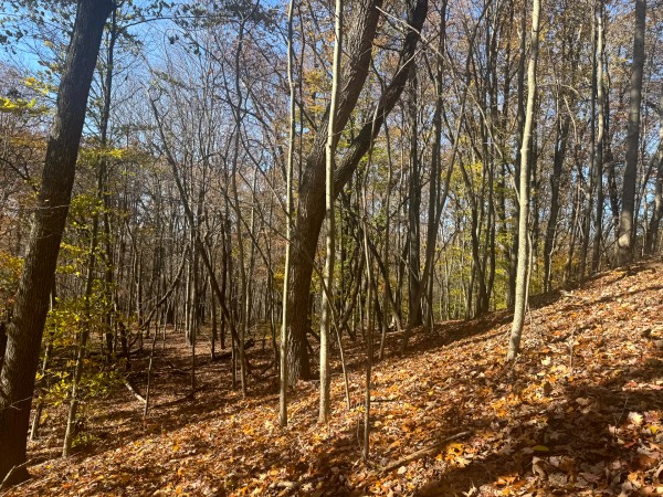 The Ponds at Poplar Ridge – Tract 1 property photo