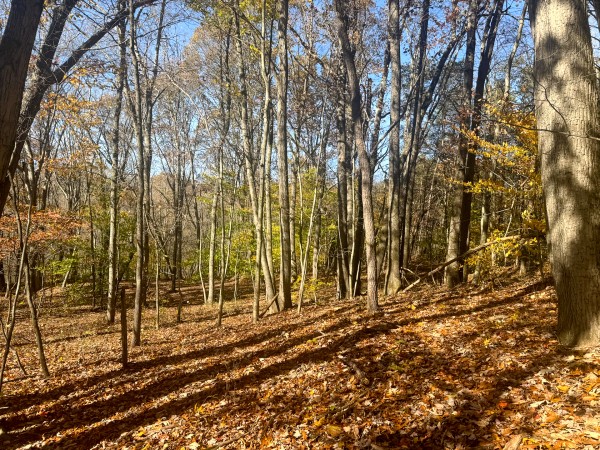 The Ponds at Poplar Ridge – Tract 1 property photo