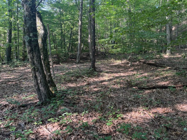 The Ponds at Poplar Ridge – Tract 1 property photo