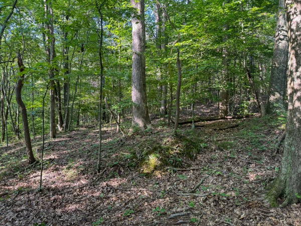 The Ponds at Poplar Ridge – Tract 1 property photo