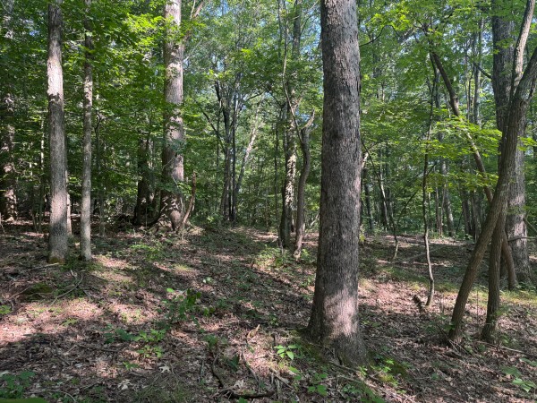 The Ponds at Poplar Ridge – Tract 1 property photo