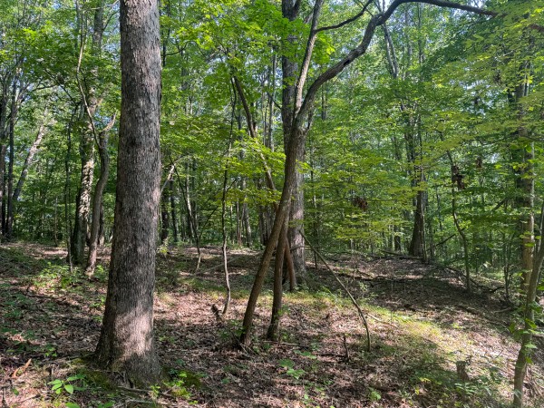 The Ponds at Poplar Ridge – Tract 1 property photo