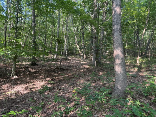 The Ponds at Poplar Ridge – Tract 1 property photo