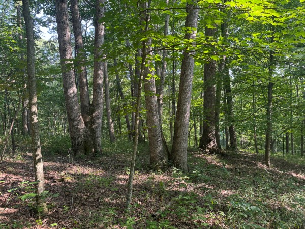 The Ponds at Poplar Ridge – Tract 1 property photo