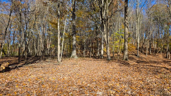 The Ponds at Poplar Ridge – Tract 1 property photo