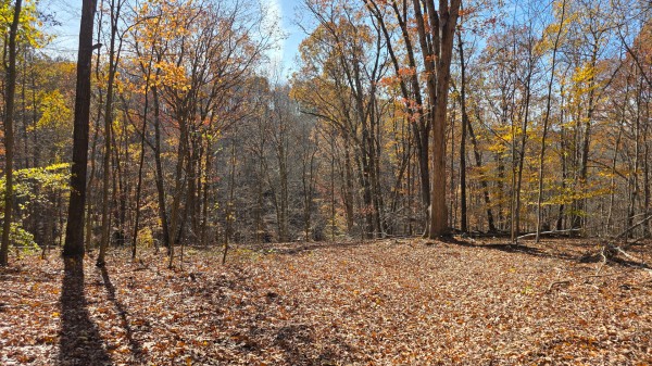 The Ponds at Poplar Ridge – Tract 1 property photo