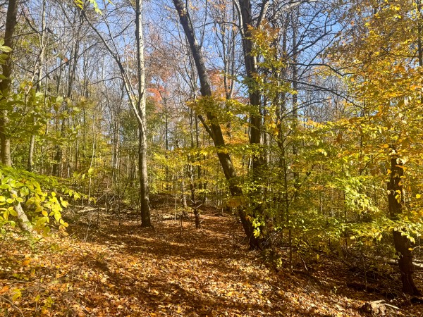 The Ponds at Poplar Ridge – Tract 2 property photo