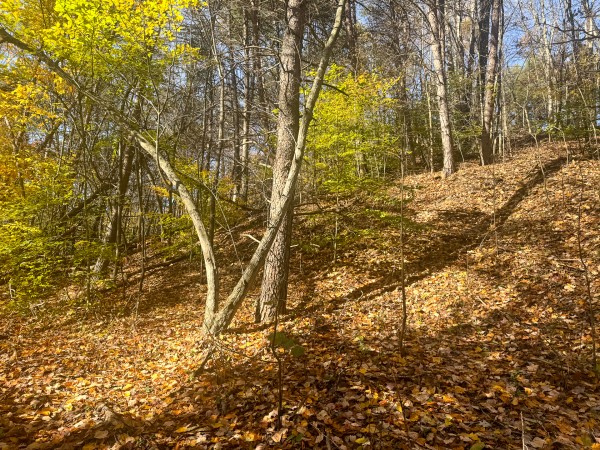 The Ponds at Poplar Ridge – Tract 2 property photo