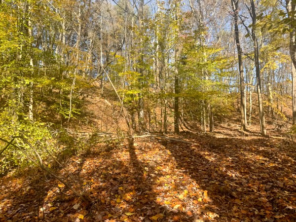 The Ponds at Poplar Ridge – Tract 2 property photo