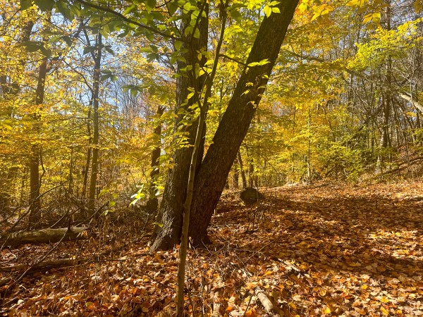 The Ponds at Poplar Ridge – Tract 2 property photo