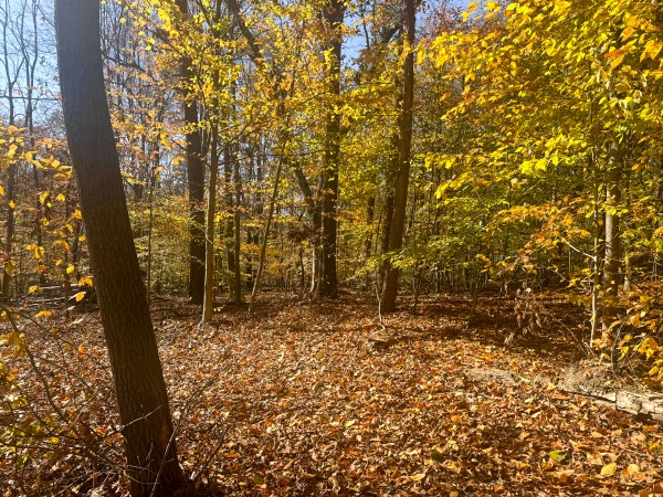 The Ponds at Poplar Ridge – Tract 2 property photo