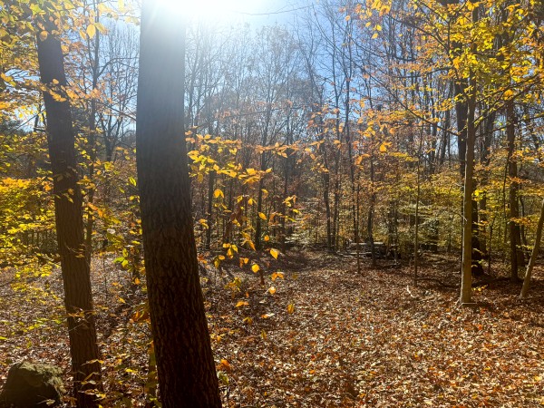 The Ponds at Poplar Ridge – Tract 2 property photo