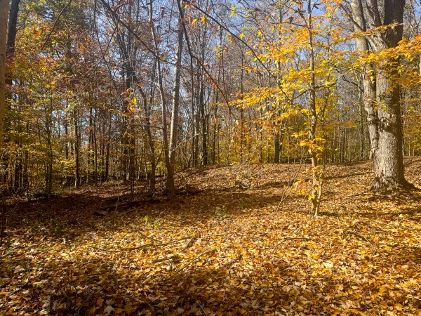 The Ponds at Poplar Ridge – Tract 2 property photo