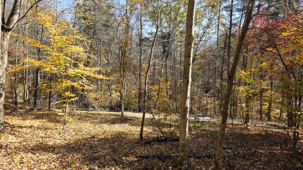 The Ponds at Poplar Ridge – Tract 2 property photo