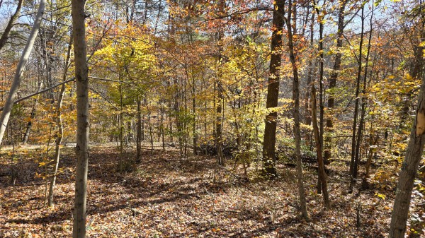 The Ponds at Poplar Ridge – Tract 2 property photo