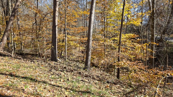 The Ponds at Poplar Ridge – Tract 2 property photo