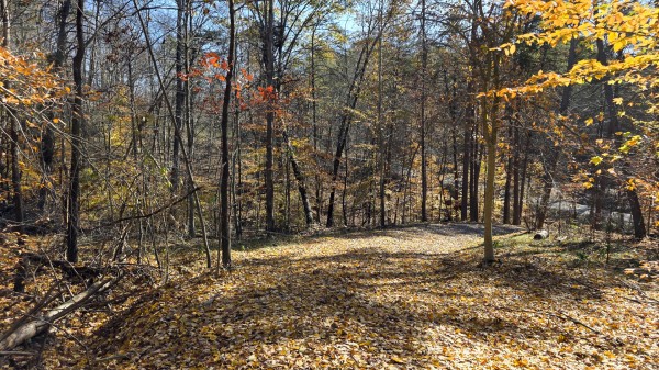 The Ponds at Poplar Ridge – Tract 2 property photo