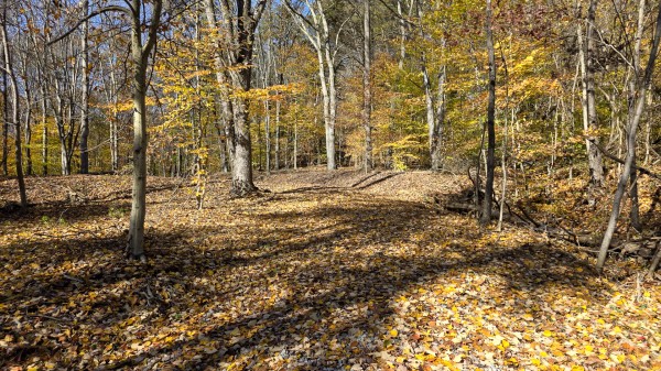The Ponds at Poplar Ridge – Tract 2 property photo