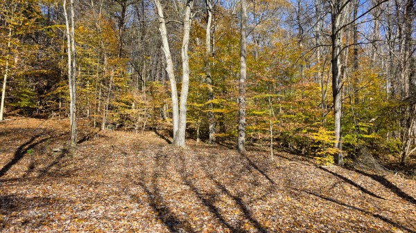 The Ponds at Poplar Ridge – Tract 2 property photo