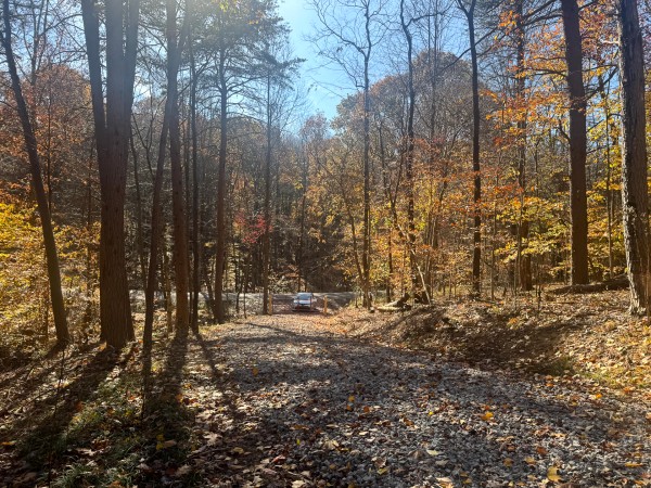 More of The Ponds at Poplar Ridge – Tract 2