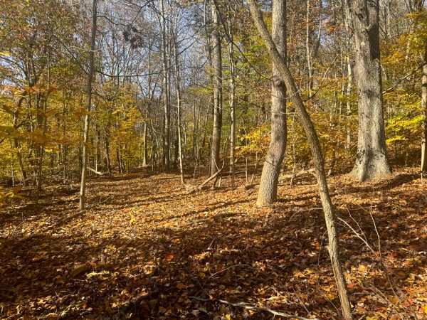 More of The Ponds at Poplar Ridge – Tract 2