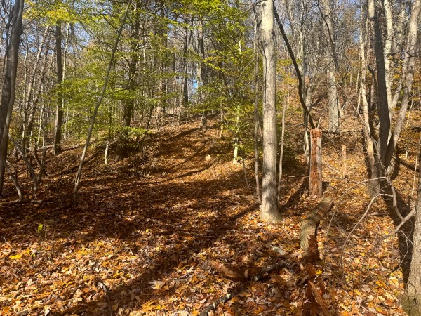 More of The Ponds at Poplar Ridge – Tract 2