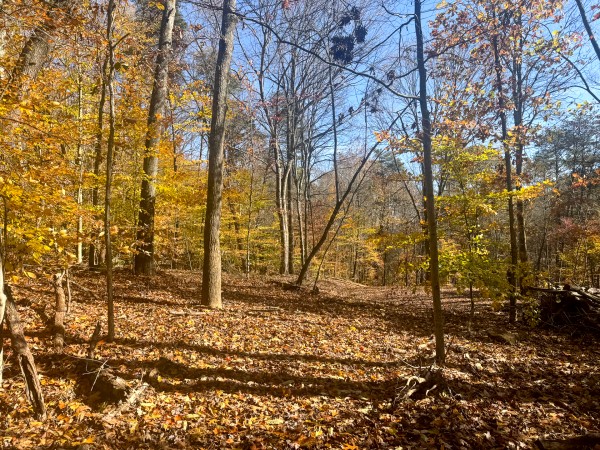 The Ponds at Poplar Ridge – Tract 2 property photo